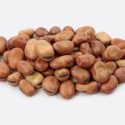 004-BIG-FAVA-BEAN.jpg
