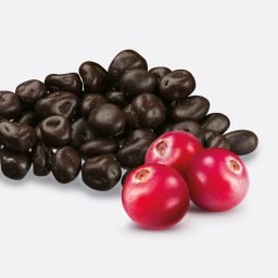 013-DARK-CHOCOLATE-COVERED-CRANBERRIES.jpg