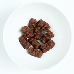 Dark-Chocolate-Covered-Gummy-Bear.jpg